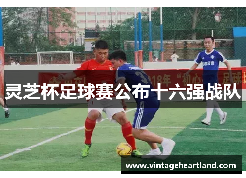 灵芝杯足球赛公布十六强战队